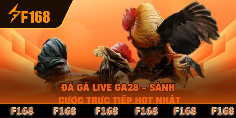 Đá Gà Live GA28 - Sảnh Cược Trực Tiếp HOT Nhất