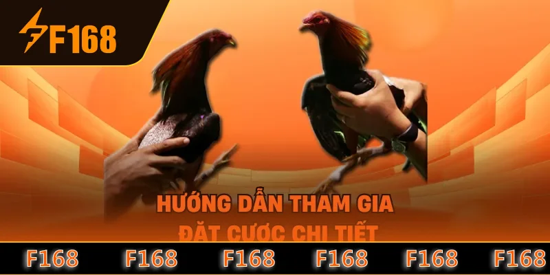 Hướng dẫn tham gia đặt cược chi tiết Hướng dẫn tham gia đặt cược chi tiết