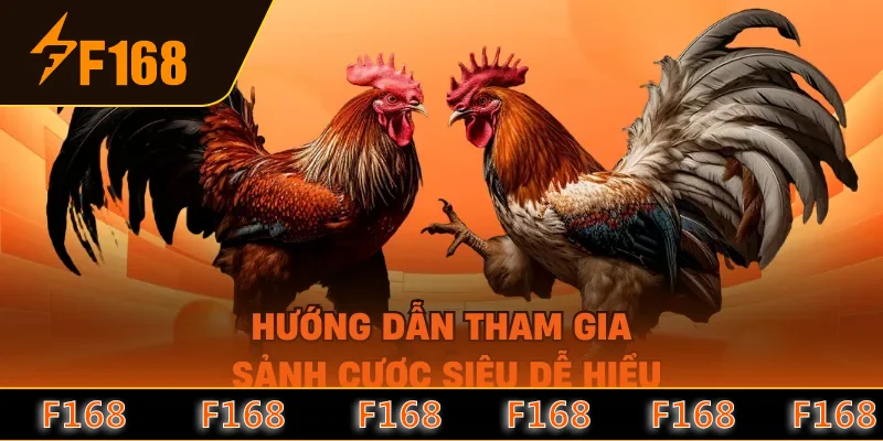 Hướng dẫn tham gia sảnh cược siêu dễ hiểu Hướng dẫn tham gia sảnh cược siêu dễ hiểu