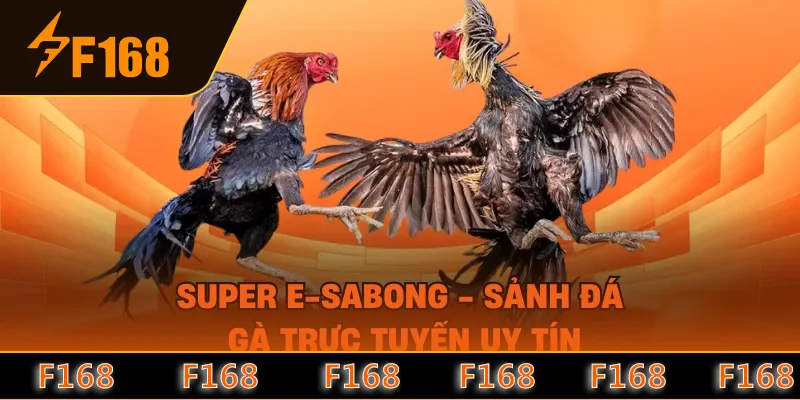 Super e-sabong - Sảnh Đá Gà Trực Tuyến Uy Tín