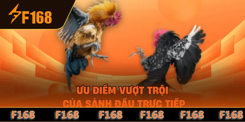Ưu điểm vượt trội của sảnh đấu trực tiếp Ưu điểm vượt trội của sảnh đấu trực tiếp
